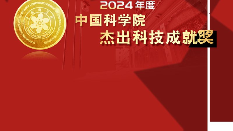 疫情数据可视化：如何构建高效的数据展示平台